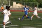 img_5567_small.jpg