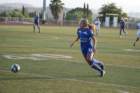 img_5631_small.jpg